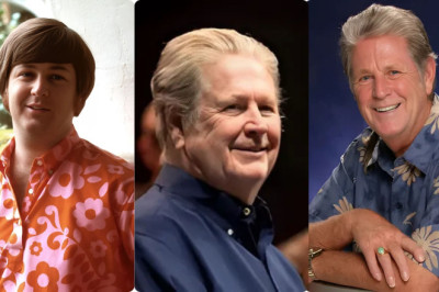 Brian Wilson Dies at 82: Beach Boys Maestro &amp; Studio Innovator